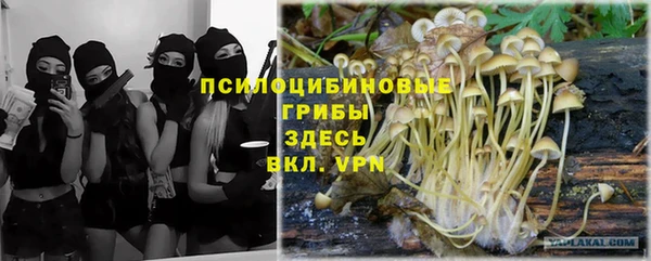 каннабис Баксан