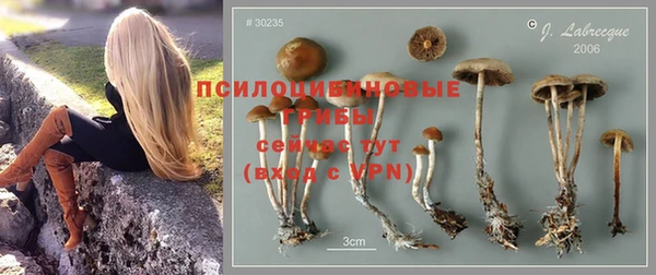каннабис Баксан