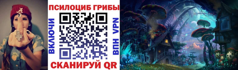 OMG зеркало  Узловая  Галлюциногенные грибы прущие грибы 